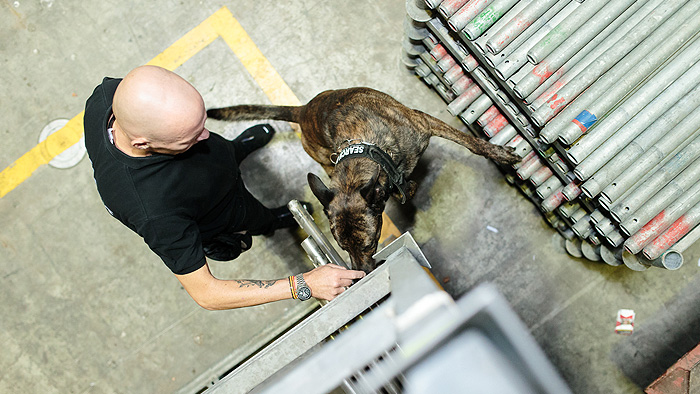 Sprengstoffhund mit Hundeführer