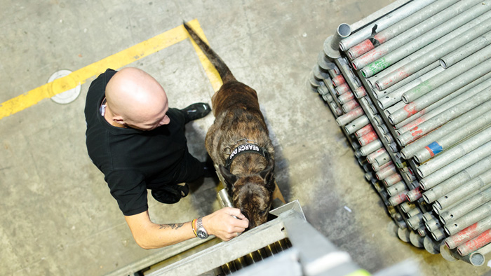 Sprengstoffspürhund mit Hundeführer des Sicherheitsunternehmens